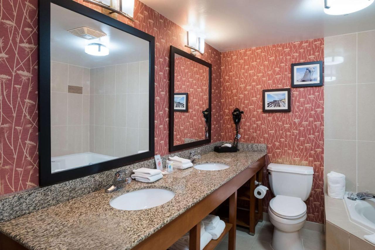 Comfort Suites Suffolk - Chesapeake Dış mekan fotoğraf